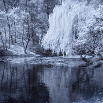 IMG_9387_1 Smolenice 3